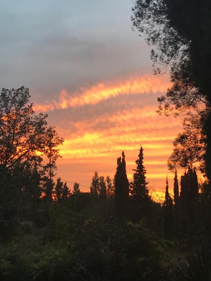 Le Mas Petit Thuir Dış mekan fotoğraf